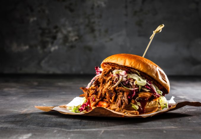 Pulled Pork and Red Cabbage Burger